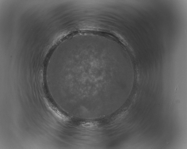 X0000077360447200610201327