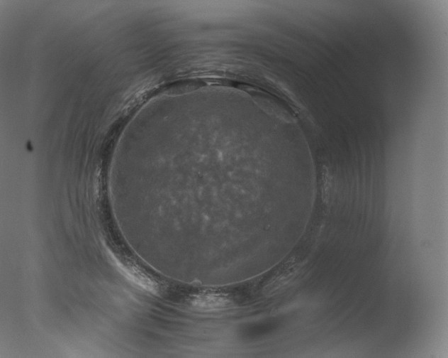 X0000077360451200610201327