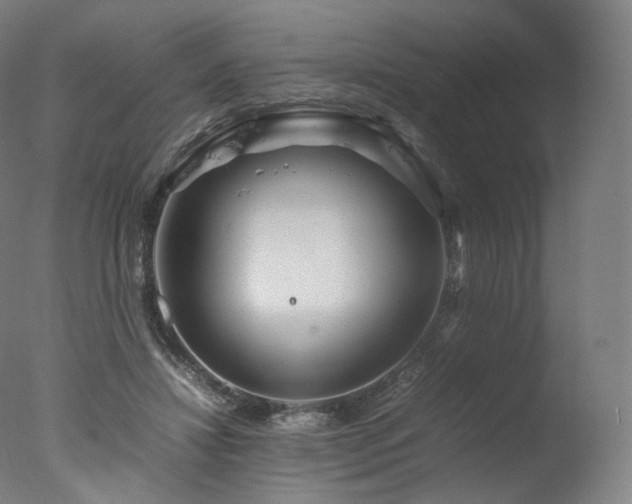 X0000077360452200610201327