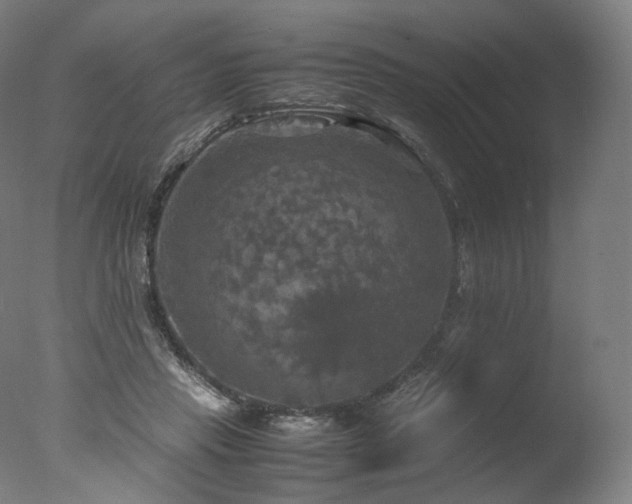 X0000077360453200610201327