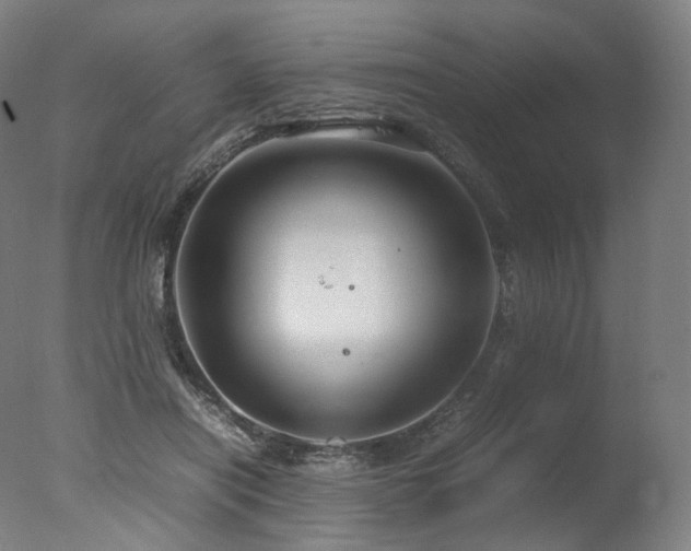 X0000077360454200610201327