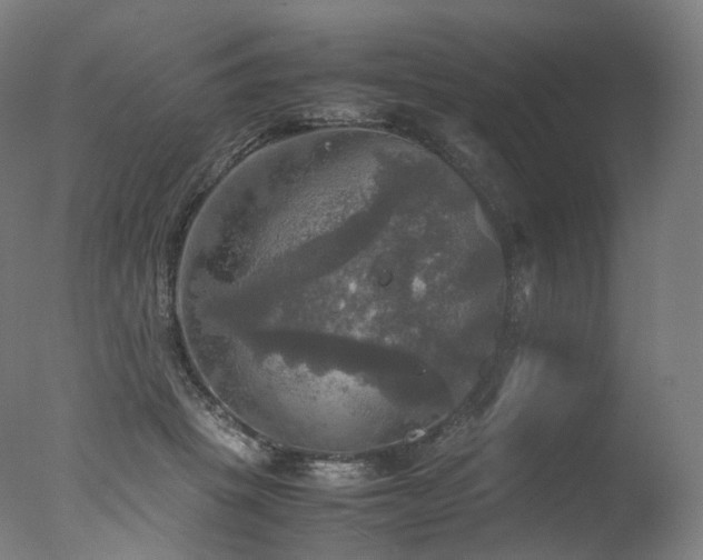 X0000077360457200610201327