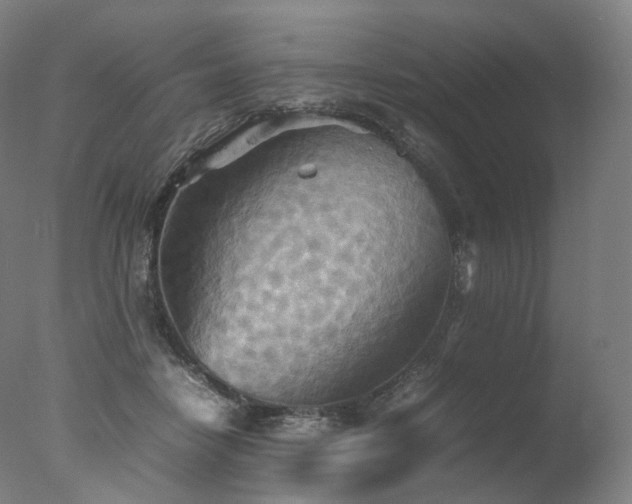 X0000077360458200610201327