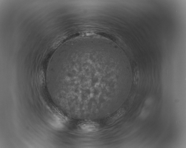 X0000077360459200610201327