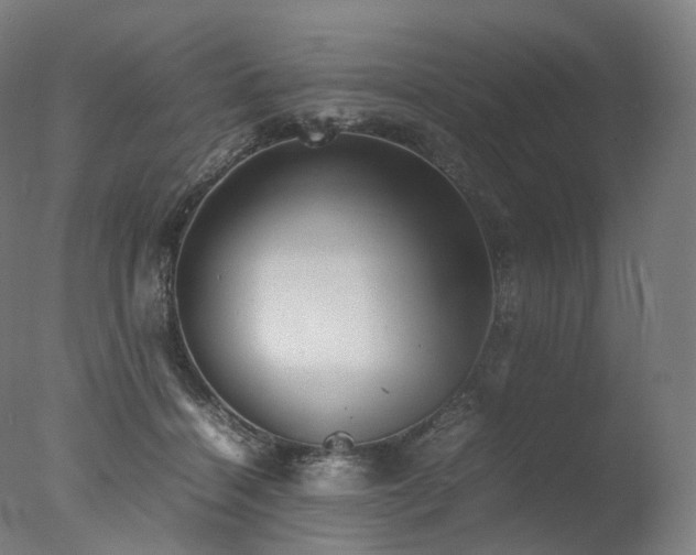 X0000077360460200610201327