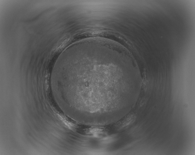 X0000077360462200610201327