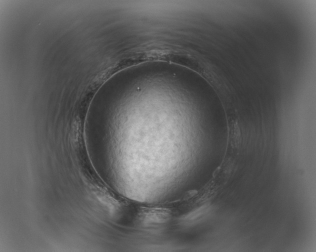 X0000077360463200610201327