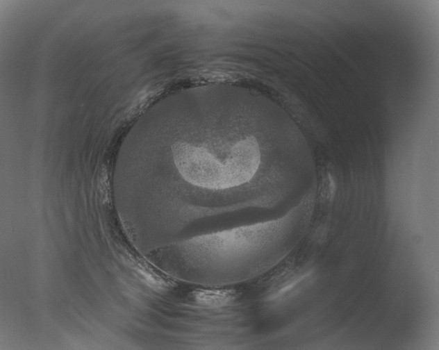 X0000077360465200610201327