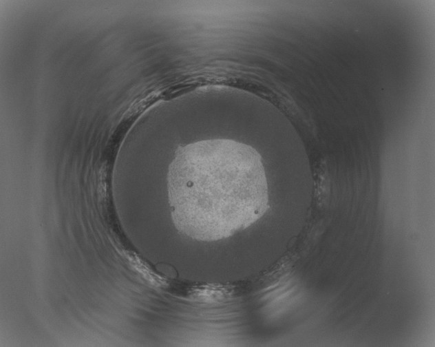 X0000077360466200610201327