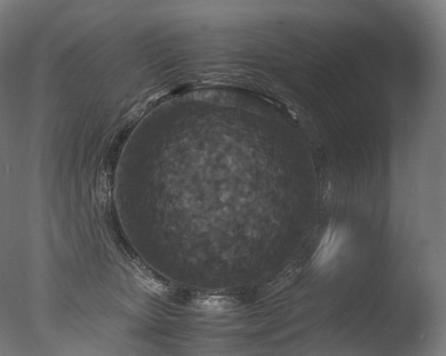 X0000077360467200610201327