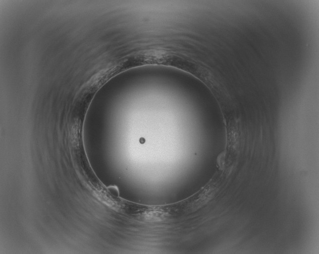 X0000077360468200610201327