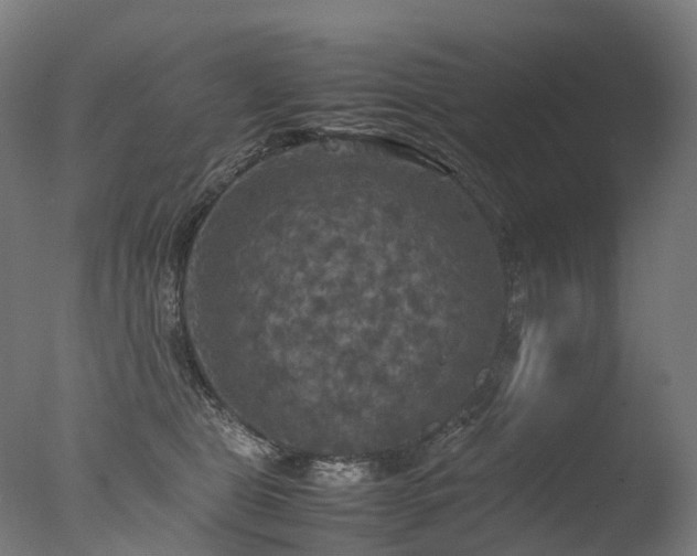 X0000077360469200610201327