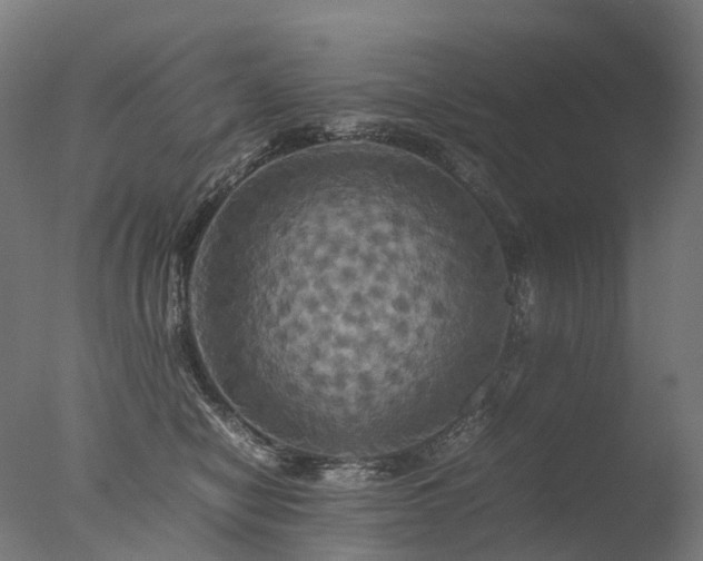 X0000077360470200610201327