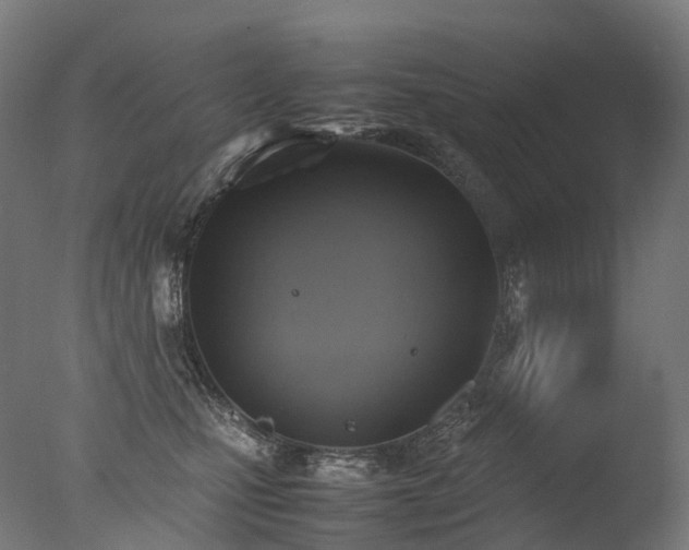 X0000077360471200610201327