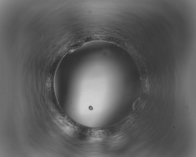 X0000077360472200610201327