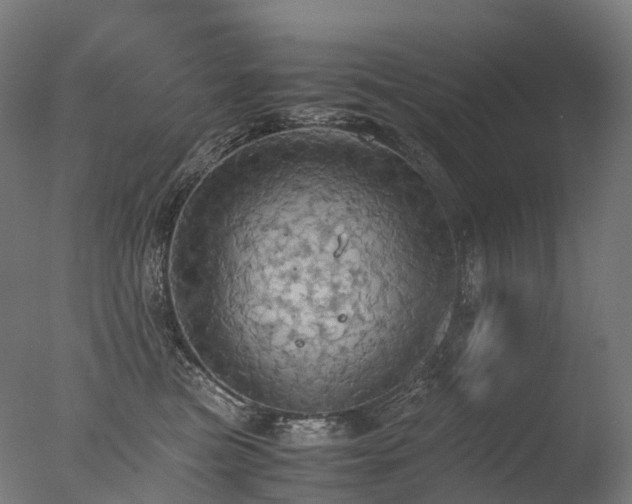 X0000077360473200610201327