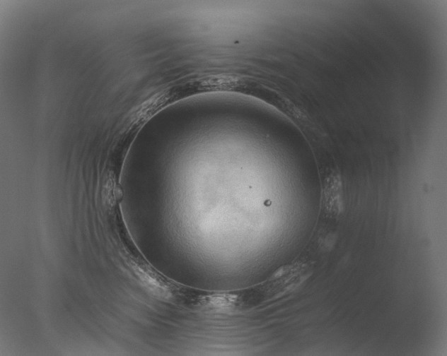 X0000077360474200610201327