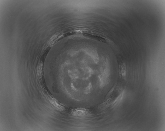 X0000077360475200610201327