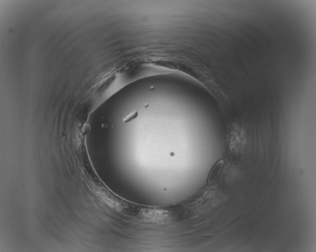 X0000077360476200610201327