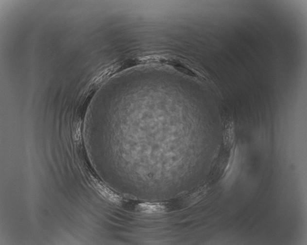 X0000077360477200610201327