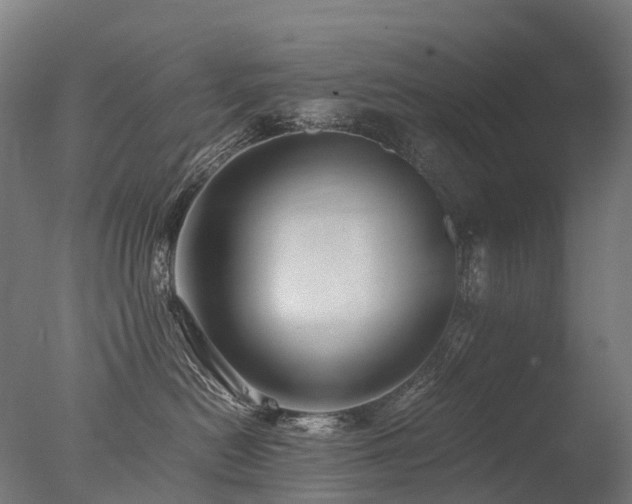 X0000077360478200610201327