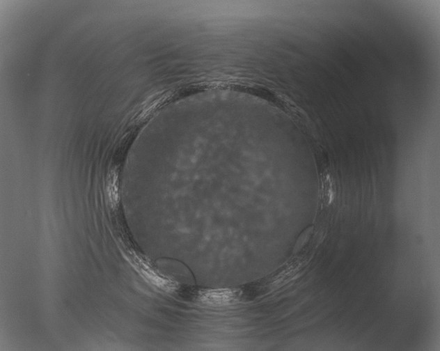 X0000077360479200610201327