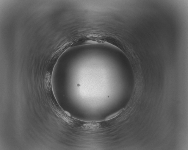 X0000077360480200610201327