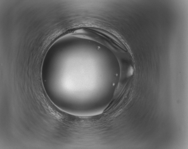 X0000077360481200610201326