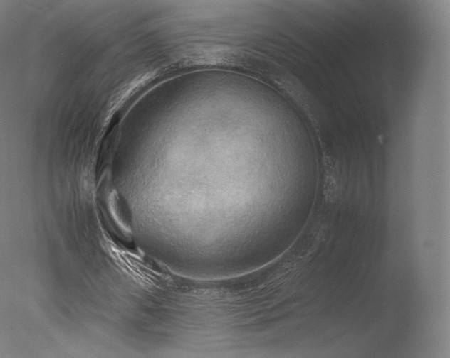 X0000077360482200610201326