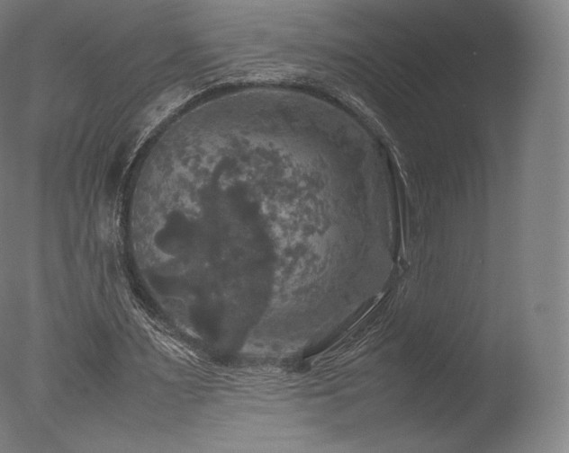 X0000077360483200610201326