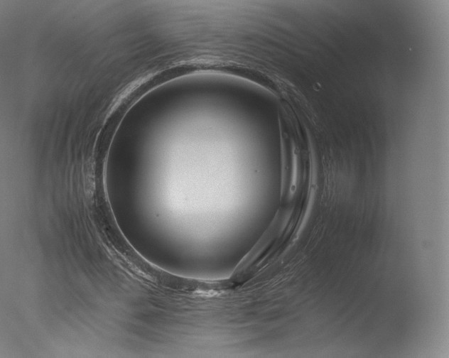 X0000077360484200610201326