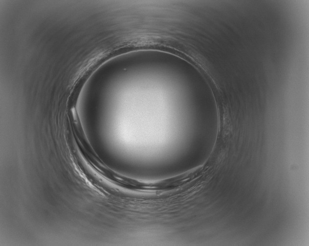 X0000077360485200610201326