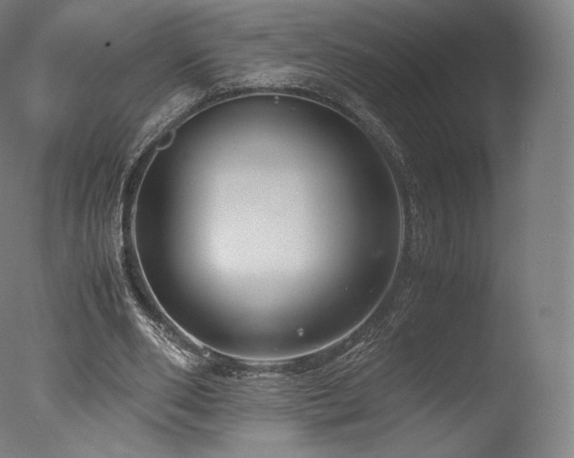 X0000077360486200610201326