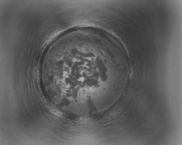 X0000077360487200610201326