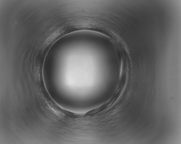 X0000077360489200610201326