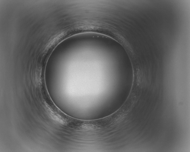 X0000077360490200610201326