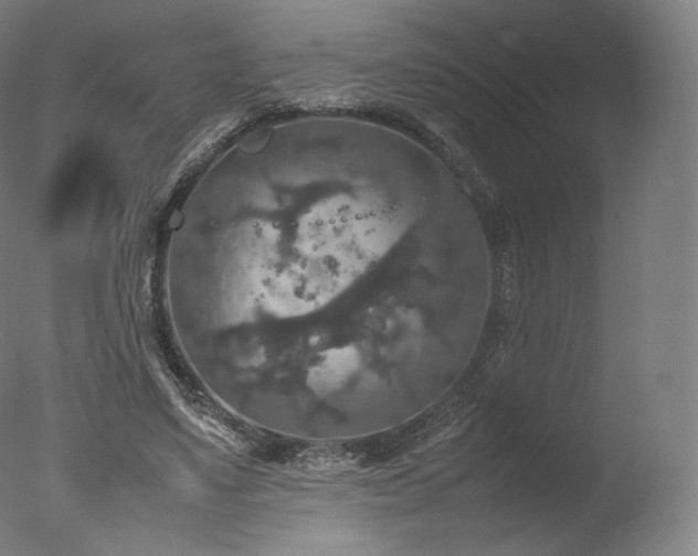 X0000077360491200610201326