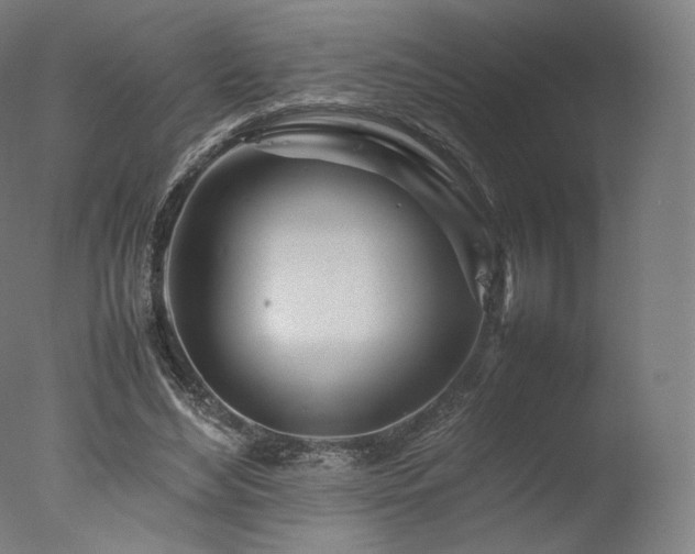 X0000077360492200610201326