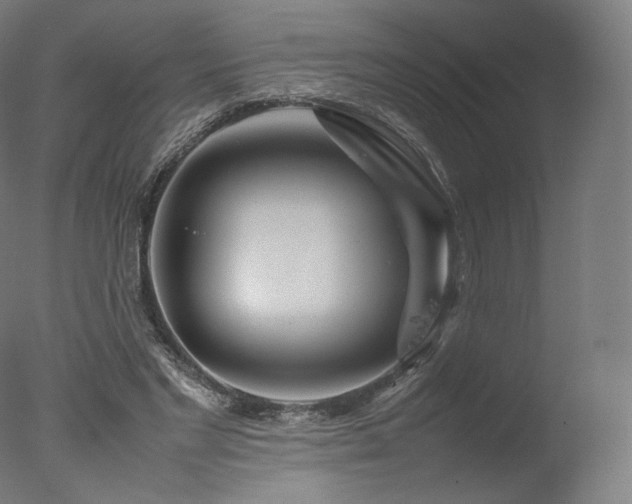 X0000077360493200610201326