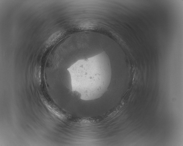 X0000077360494200610201326