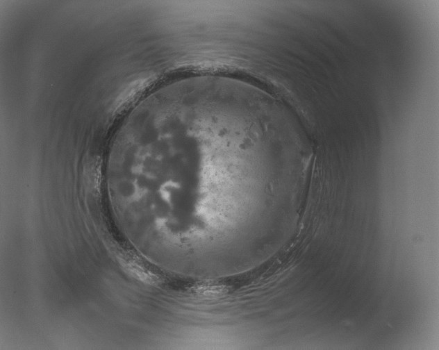 X0000077360495200610201326