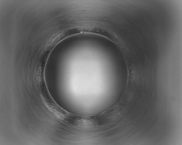 X0000077360498200610201326