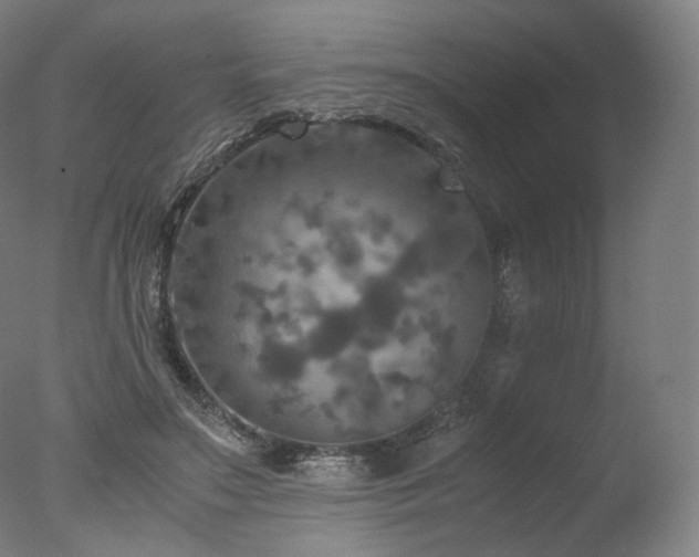 X0000077360499200610201326