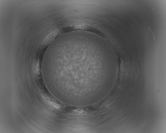 X0000077360502200610201326