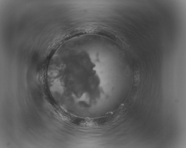 X0000077360503200610201326