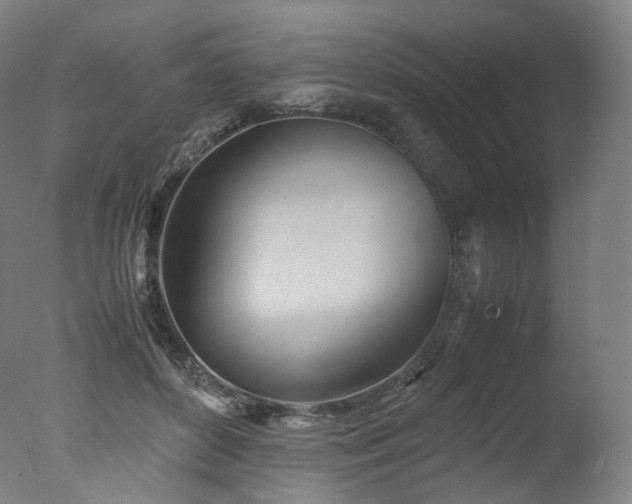 X0000077360504200610201326