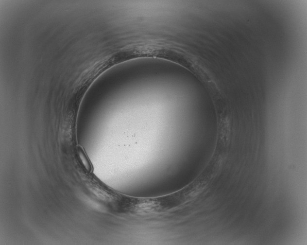 X0000077360505200610201326