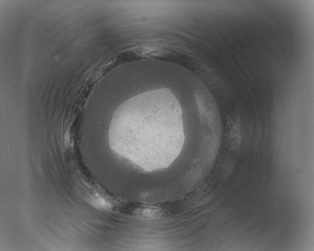 X0000077360506200610201326