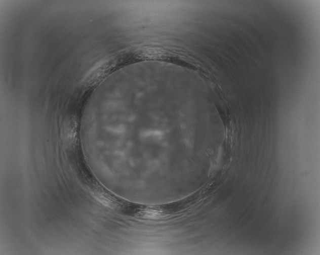 X0000077360507200610201326