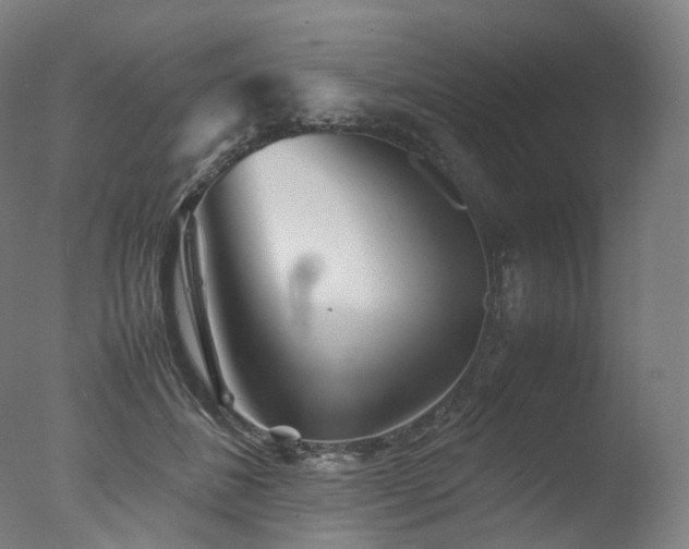 X0000077360508200610201326